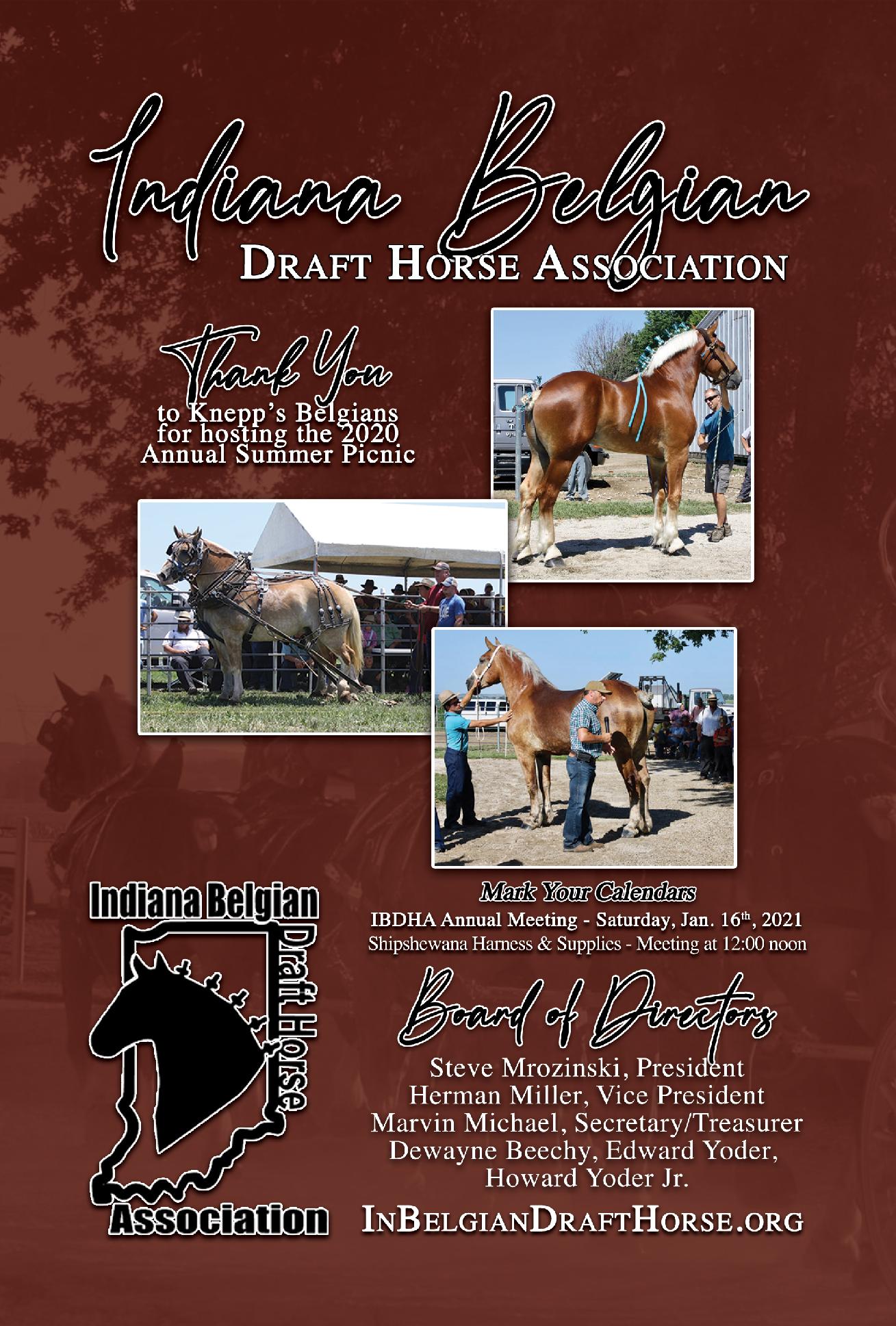 Indiana Belgian Draft Horse Association