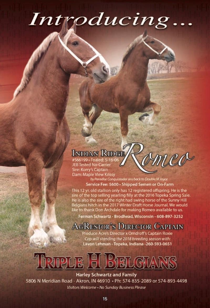 Indiana Belgian Draft Horse Association