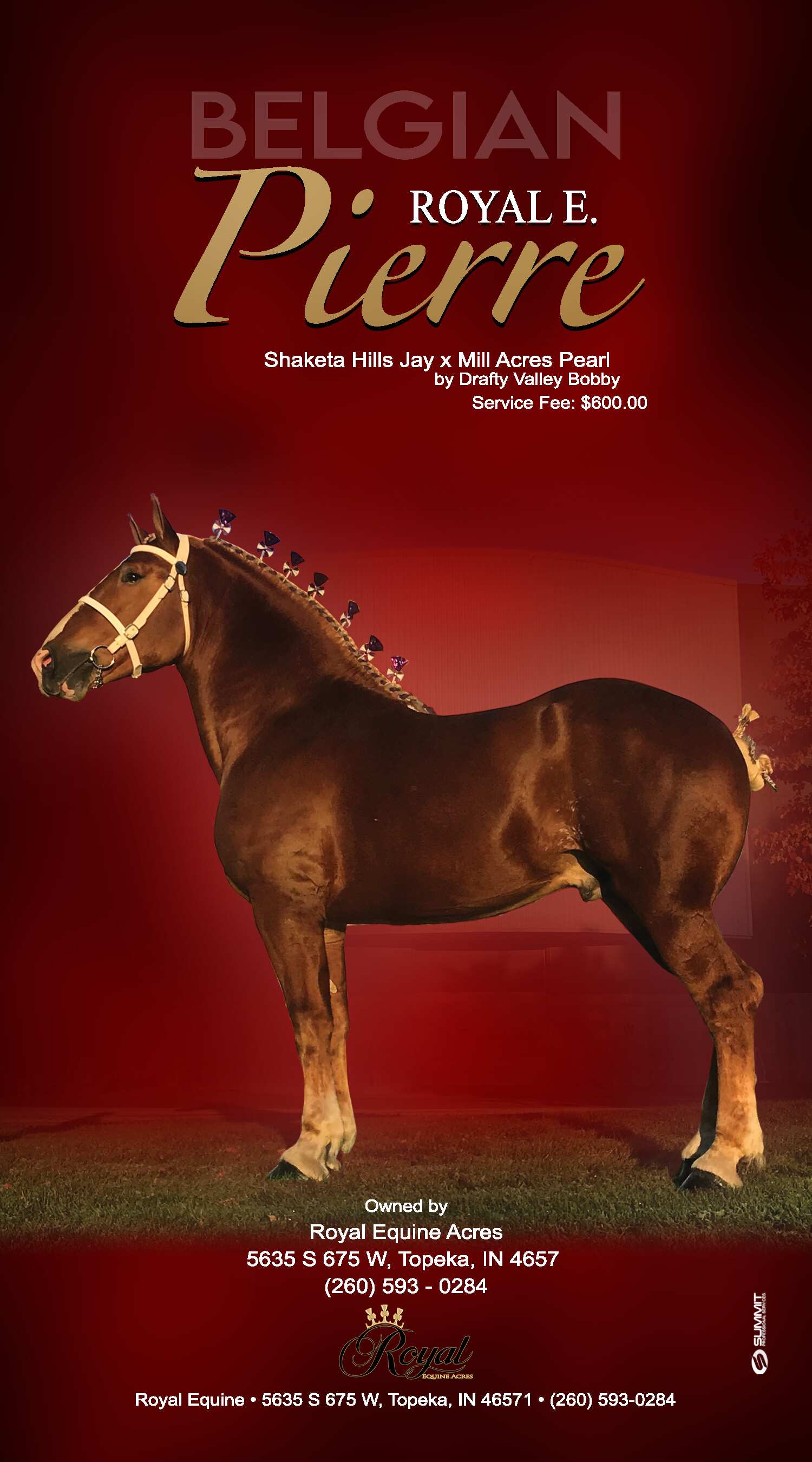 Indiana Belgian Draft Horse Association